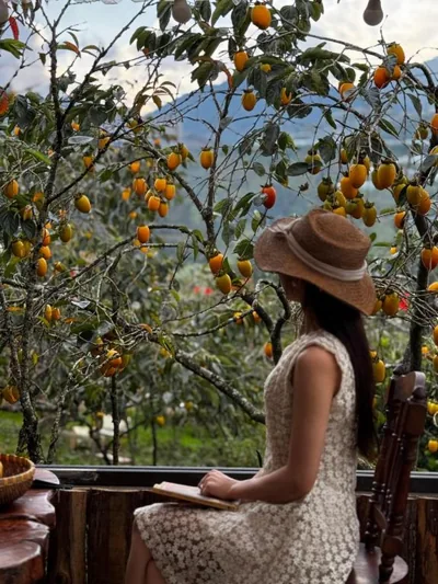 Junsu house – Photos 12